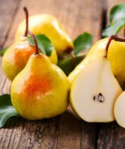 Fast Growing Trees Pear Trees Luscious Pear Tree