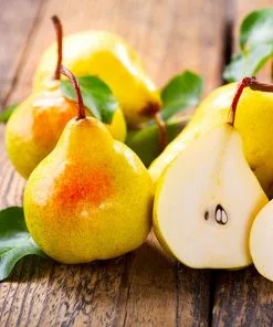 Fast Growing Trees Pear Trees Luscious Pear Tree