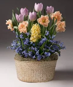 Fast Growing Trees Mother's Day Bulb Garden