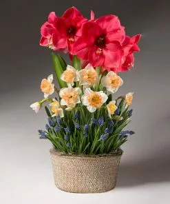 Fast Growing Trees Spring Daze Bulb Garden