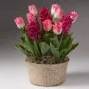 Fast Growing Trees Tabletop Bulb Gardens Valentine's Day Garden With Seagrass Pot
