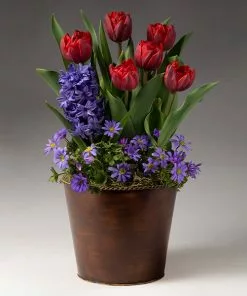 Fast Growing Trees Tabletop Bulb Gardens Red Royalty Bulb Garden