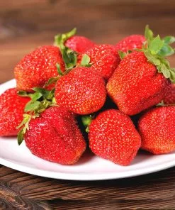 Fast Growing Trees Maxim Strawberry Strawberry Plants 8 Fast Growing Trees Maxim Strawberry Strawberry Plants