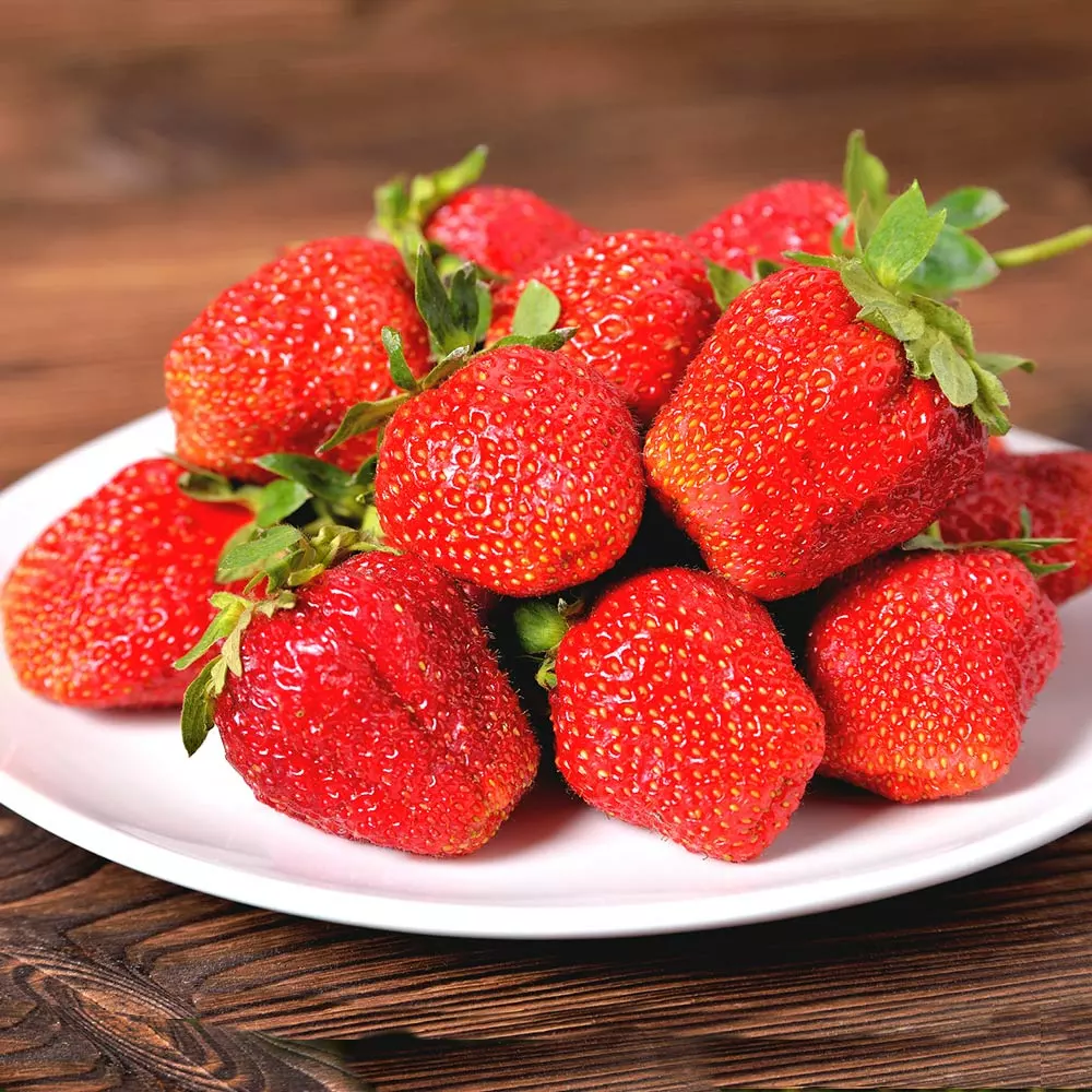 Fast Growing Trees Maxim Strawberry Strawberry Plants 5 Fast Growing Trees Maxim Strawberry Strawberry Plants