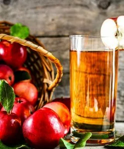 Fast Growing Trees McIntosh Apple Tree Apple Trees 10 Fast Growing Trees McIntosh Apple Tree Apple Trees