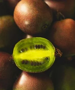 Fast Growing Trees Meader Hardy Kiwi 8 Fast Growing Trees Meader Hardy Kiwi