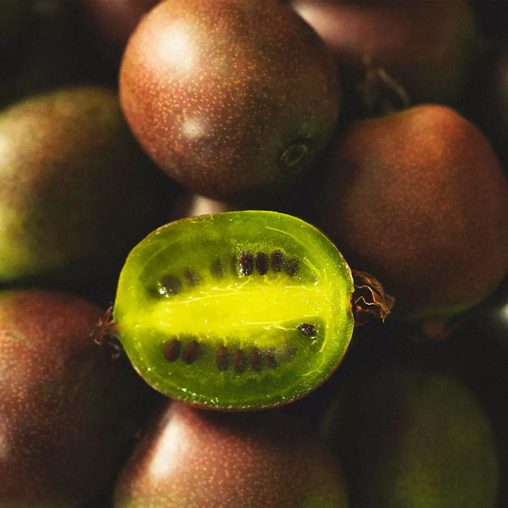 Fast Growing Trees Meader Hardy Kiwi 5 Fast Growing Trees Meader Hardy Kiwi