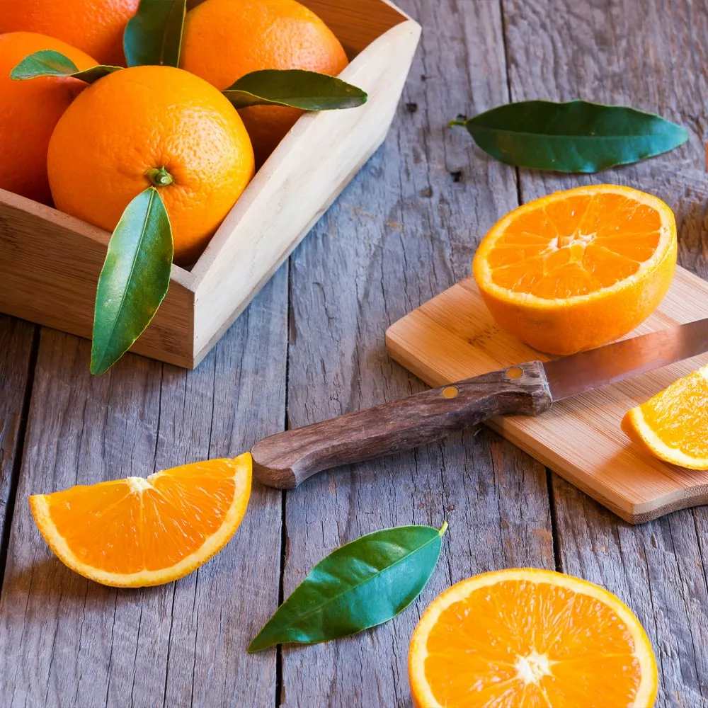 Fast Growing Trees Midknight Valencia Orange Citrus Trees 6 Fast Growing Trees Midknight Valencia Orange Citrus Trees