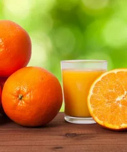 Fast Growing Trees Midknight Valencia Orange Citrus Trees 11 Fast Growing Trees Midknight Valencia Orange Citrus Trees