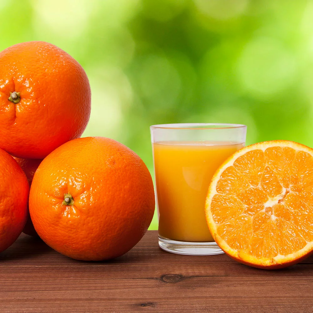 Fast Growing Trees Midknight Valencia Orange Citrus Trees 7 Fast Growing Trees Midknight Valencia Orange Citrus Trees