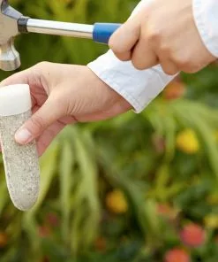 Fast Growing Trees MiracleGro® Fruit Spikes Garden Supplies 7 Fast Growing Trees MiracleGro® Fruit Spikes Garden Supplies