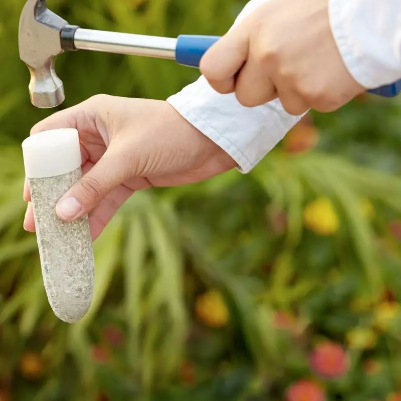 Fast Growing Trees MiracleGro® Fruit Spikes Garden Supplies 5 Fast Growing Trees MiracleGro® Fruit Spikes Garden Supplies