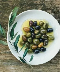 Fast Growing Trees Mission Olive Tree Olive Trees 7 Fast Growing Trees Mission Olive Tree Olive Trees