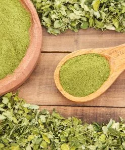 Fast Growing Trees Tropical Fruit Trees Moringa Tree 13 Fast Growing Trees Tropical Fruit Trees Moringa Tree