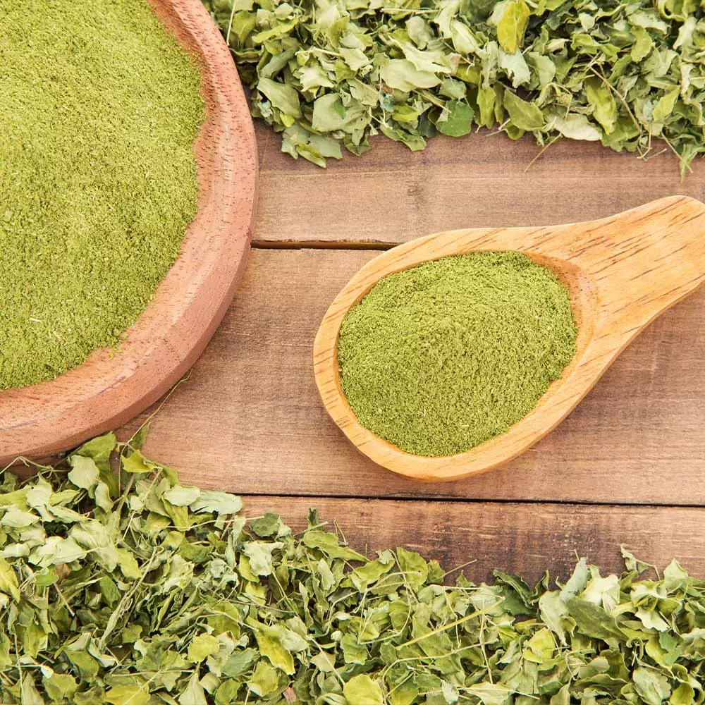 Fast Growing Trees Tropical Fruit Trees Moringa Tree 6 Fast Growing Trees Tropical Fruit Trees Moringa Tree