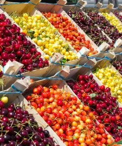 Fast Growing Trees 3-in-1 Cherry Tree Cherry Trees