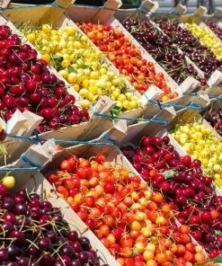 Fast Growing Trees 3-in-1 Cherry Tree Cherry Trees