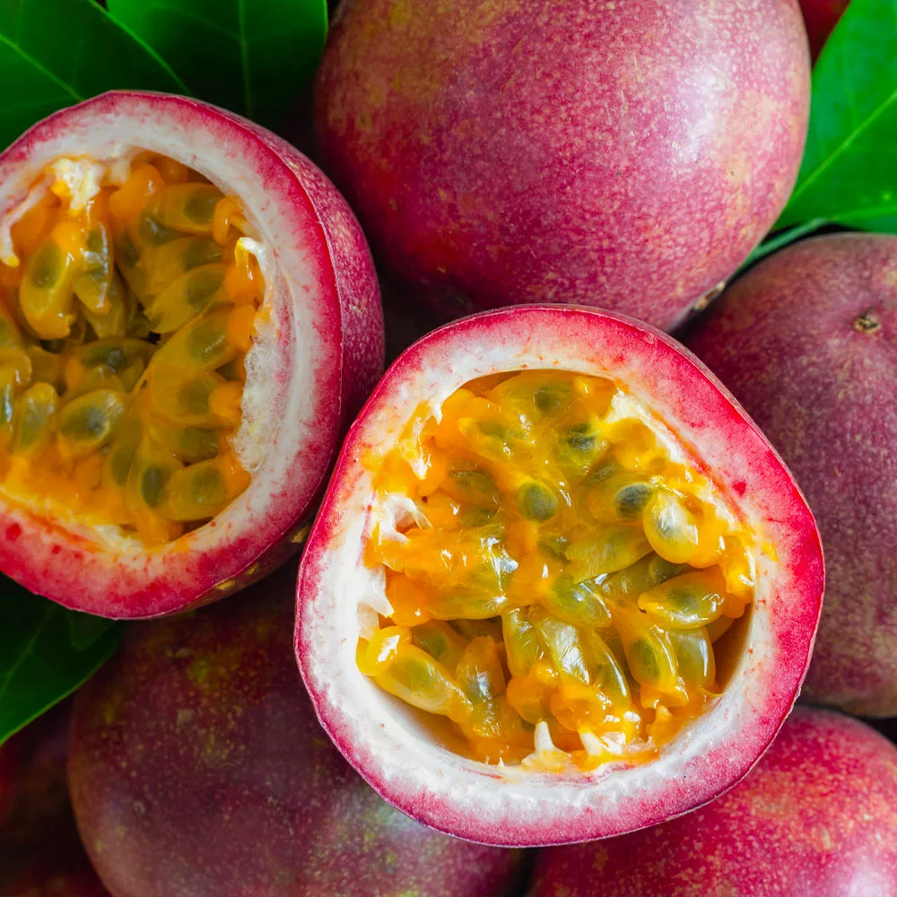 Fast Growing Trees Tropical Fruit Trees Nancy Garrison Passion Fruit Vine 6 Fast Growing Trees Tropical Fruit Trees Nancy Garrison Passion Fruit Vine