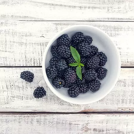 Fast Growing Trees See All Fruit Trees Natchez Blackberry - USDA Organic 6 Fast Growing Trees See All Fruit Trees Natchez Blackberry - USDA Organic