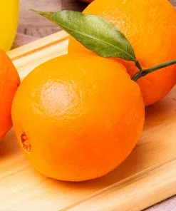 Fast Growing Trees Citrus Trees Navel Orange Tree - USDA Organic 11 Fast Growing Trees Citrus Trees Navel Orange Tree - USDA Organic