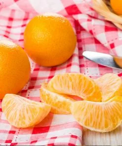 Fast Growing Trees Navel Orange Tree Citrus Trees 11 Fast Growing Trees Navel Orange Tree Citrus Trees