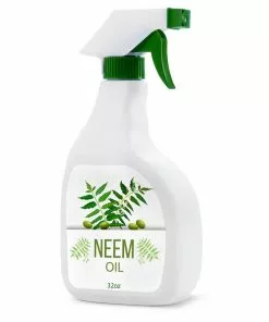 Fast Growing Trees Neem Oil