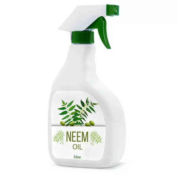 Fast Growing Trees Neem Oil 3 Fast Growing Trees Neem Oil
