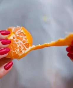 Fast Growing Trees Citrus Trees Nules Clementine Tree