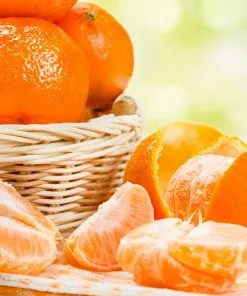 Fast Growing Trees Owari Satsuma Mandarin Tree Citrus Trees 11 Fast Growing Trees Owari Satsuma Mandarin Tree Citrus Trees