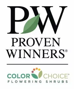 Fast Growing Trees See All Shrubs & Hedges Fruit Punch® ‘Maraschino’ Dianthus 9 Fast Growing Trees See All Shrubs & Hedges Fruit Punch® ‘Maraschino’ Dianthus