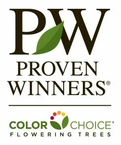 Fast Growing Trees See All Fruit Trees Spring Glory® Serviceberry Tree 13 Fast Growing Trees See All Fruit Trees Spring Glory® Serviceberry Tree