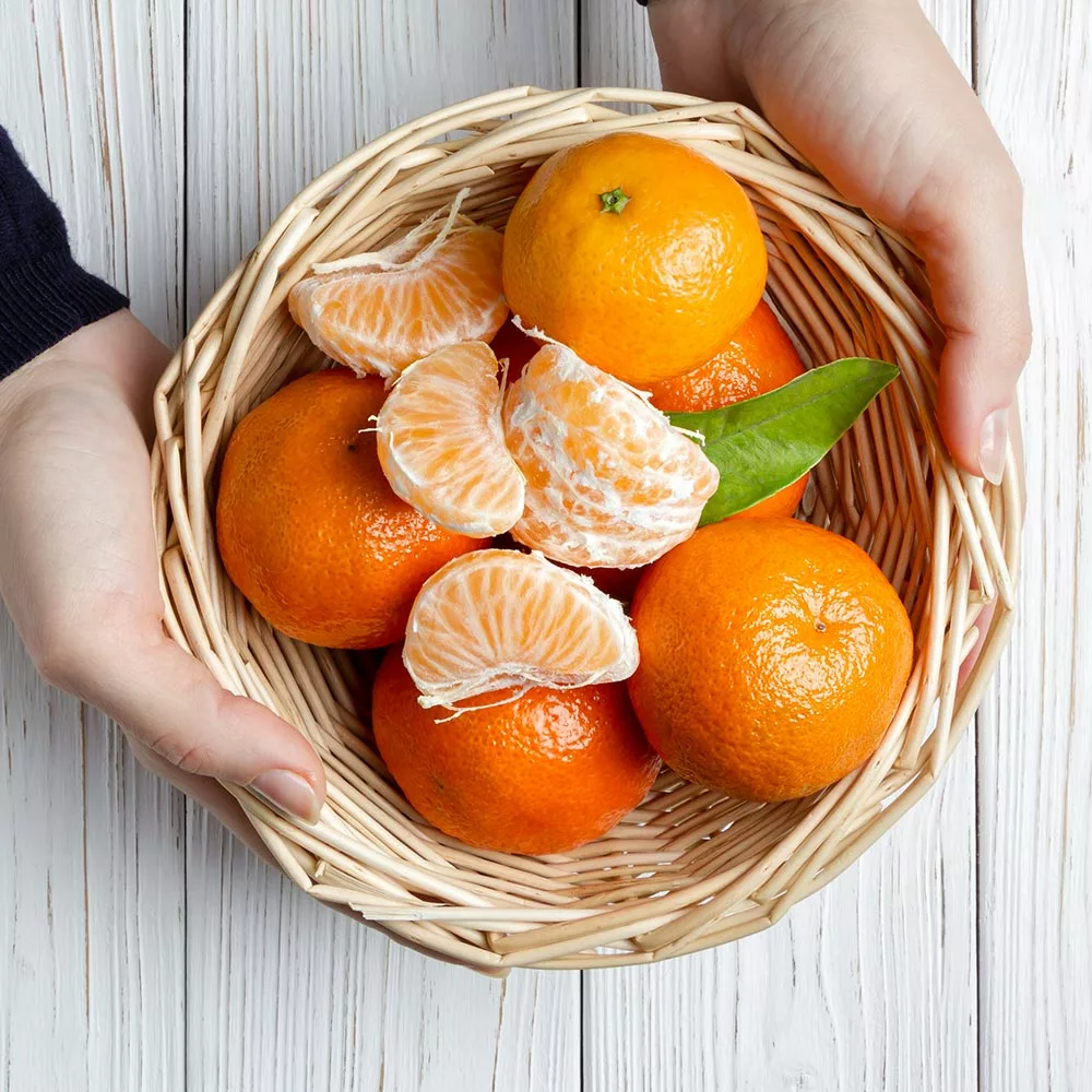 Fast Growing Trees Page Mandarin Tree 6 Fast Growing Trees Page Mandarin Tree