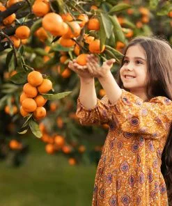 Fast Growing Trees Page Mandarin Tree 7 Fast Growing Trees Page Mandarin Tree