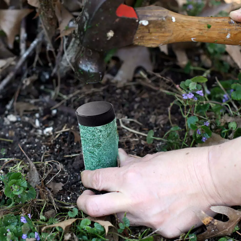 Fast Growing Trees Garden Supplies Palm Tree Fertilizer Spikes 5 Fast Growing Trees Garden Supplies Palm Tree Fertilizer Spikes