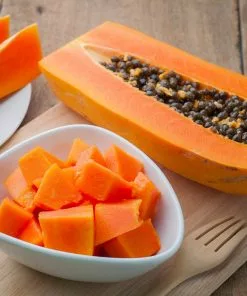 Fast Growing Trees Papaya Tree See All Fruit Trees 14 Fast Growing Trees Papaya Tree See All Fruit Trees