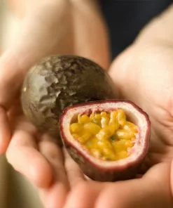 Fast Growing Trees Passion Fruit Vine (Flower) 13 Fast Growing Trees Passion Fruit Vine (Flower)