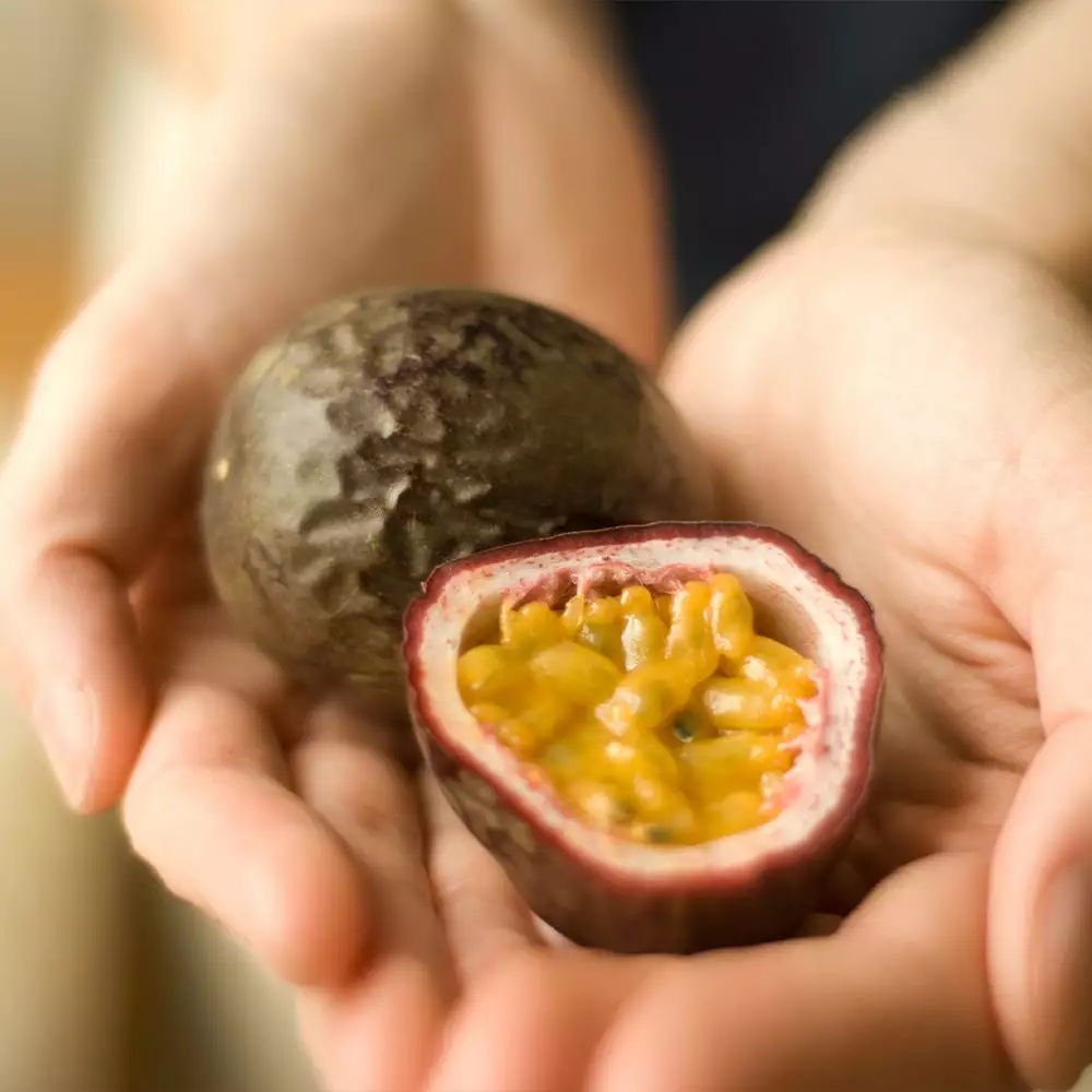 Fast Growing Trees Passion Fruit Vine (Flower) 8 Fast Growing Trees Passion Fruit Vine (Flower)