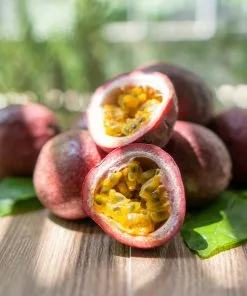 Fast Growing Trees Passion Fruit Vine (Flower) 10 Fast Growing Trees Passion Fruit Vine (Flower)