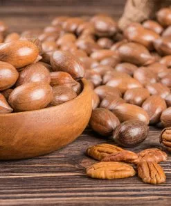 Fast Growing Trees Pawnee Pecan Tree Nut Trees 9 Fast Growing Trees Pawnee Pecan Tree Nut Trees