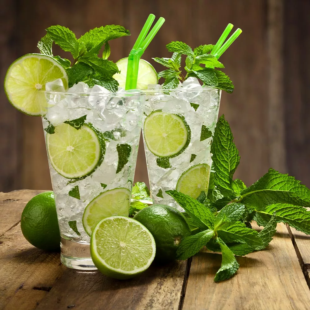 Fast Growing Trees Citrus Trees Persian 'Bearss' Lime Tree - USDA Organic 7 Fast Growing Trees Citrus Trees Persian 'Bearss' Lime Tree - USDA Organic