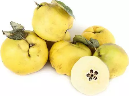 Fast Growing Trees Shop Indoor & Patio Fruit Pineapple Quince Tree 5 Fast Growing Trees Shop Indoor & Patio Fruit Pineapple Quince Tree