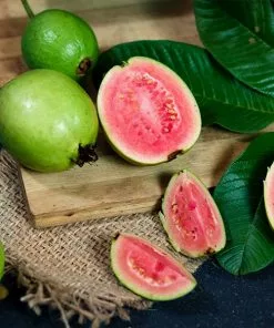 Fast Growing Trees Tropical Pink Guava Tree