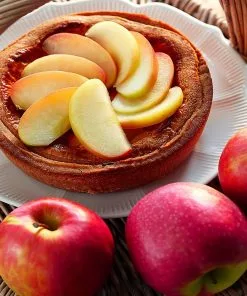 Fast Growing Trees Pink Lady® Apple Tree 11 Fast Growing Trees Pink Lady® Apple Tree