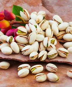 Fast Growing Trees Pistachio Tree Nut Trees