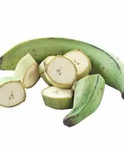 Fast Growing Trees Puerto Rican Plantain Banana Tree Banana Trees 9 Fast Growing Trees Puerto Rican Plantain Banana Tree Banana Trees