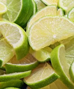 Fast Growing Trees Persian 'Bearss' Lime Bush 10 Fast Growing Trees Persian 'Bearss' Lime Bush