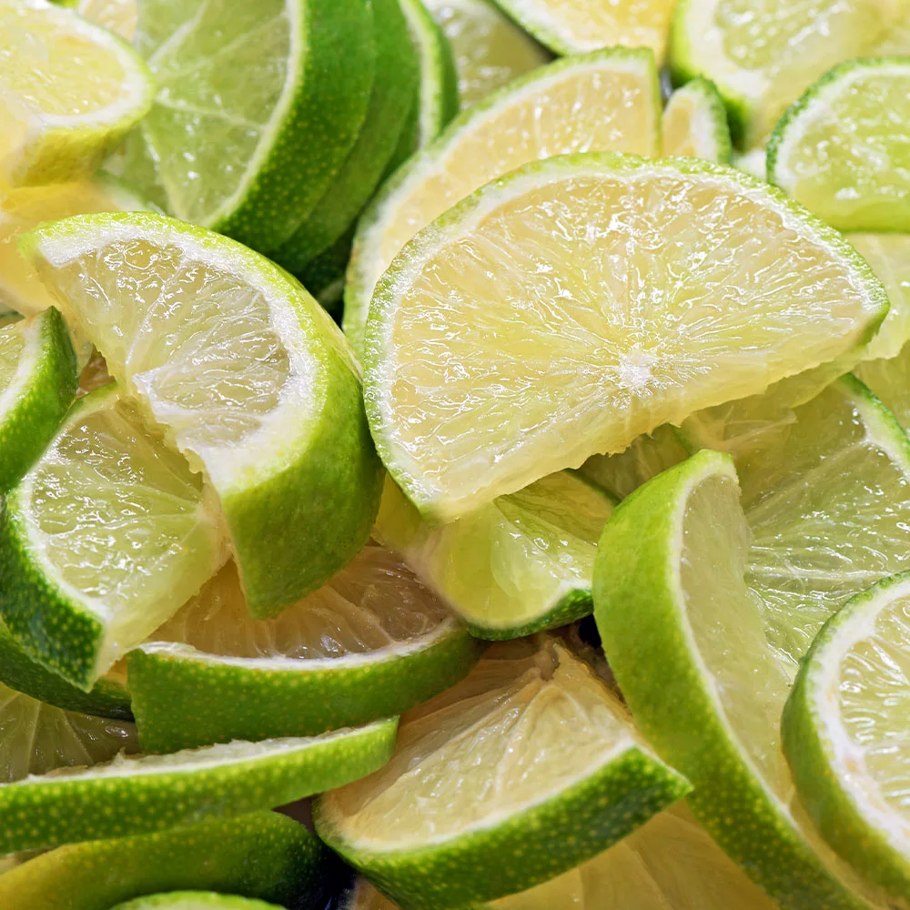 Fast Growing Trees Persian 'Bearss' Lime Bush 6 Fast Growing Trees Persian 'Bearss' Lime Bush