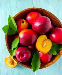 Fast Growing Trees Red Gold Nectarine