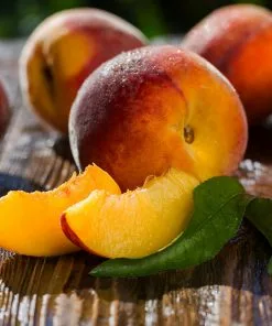 Fast Growing Trees Red Baron Peach Tree Peach Trees 11 Fast Growing Trees Red Baron Peach Tree Peach Trees