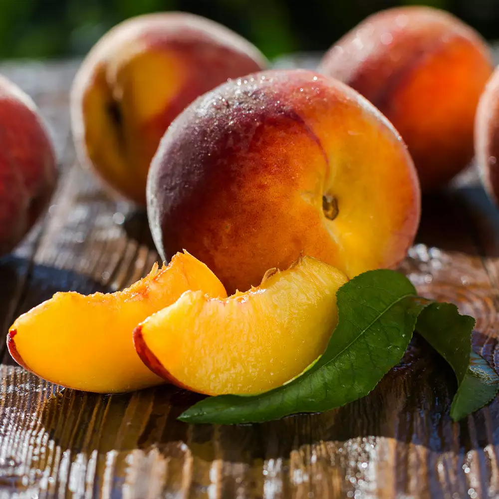 Fast Growing Trees Red Baron Peach Tree Peach Trees 7 Fast Growing Trees Red Baron Peach Tree Peach Trees